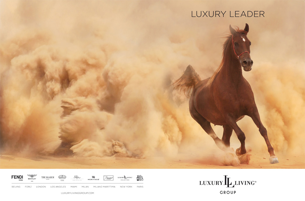 Luxury Living Group – Advertising